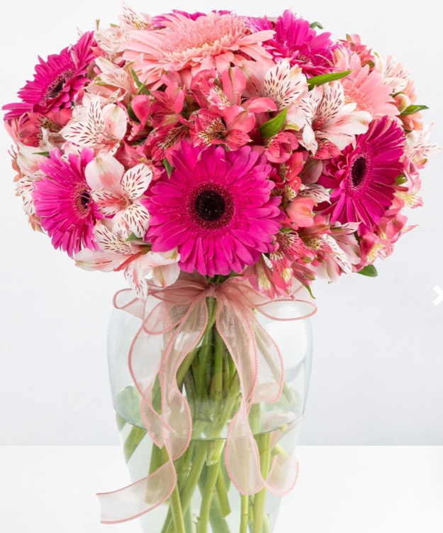 12 Gerberas Bouquet