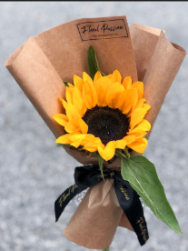 [5.00] Sunflower