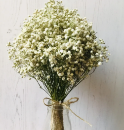 [9.00] Cloud Flower